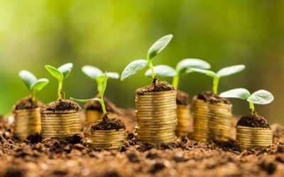 The perks of staying invested
