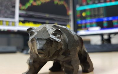 Bear Markets and What Investors Can Do Now