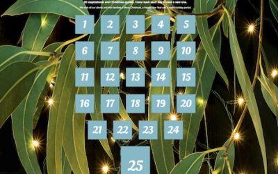 A 2022 Advent Calendar for our clients