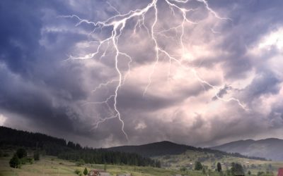 Volatility is here to stay