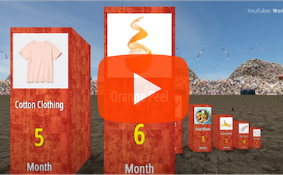 Comparison: How Long It Takes To Decompose?