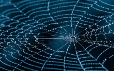 Tax alert warning could catch more in the ATO web