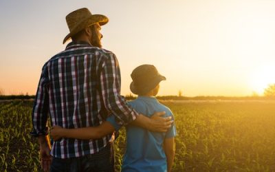 Transferring wealth to the next generation