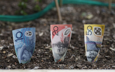 SMSF assets reach record levels amid share market rally