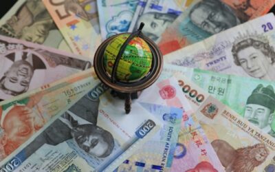 Investment and economic outlook, May 2025