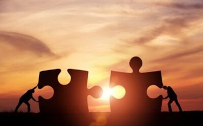 Roles and Responsibilities in a Business Partnership