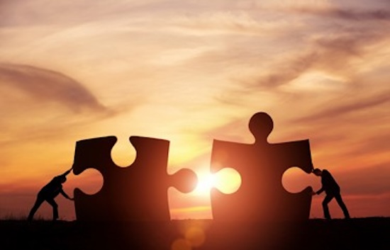 Roles and Responsibilities in a Business Partnership