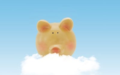 New report highlights confusion over BDBNs