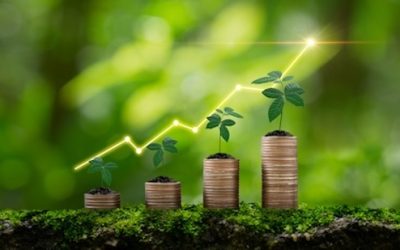 How $1,000 plus regular contributions turned into $823,000 through compounding