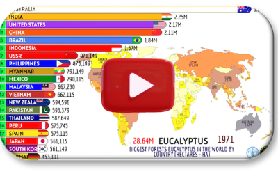 Countries with the largest collection or eucalyptus trees