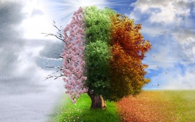 It’s not just Div 296 that could face changes in 2026