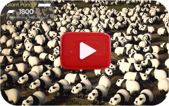 Rare and vanishing: Animals That May Go Extinct Soon